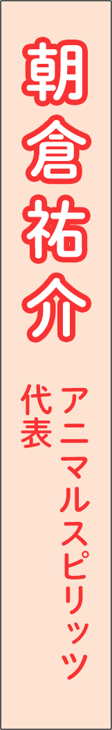 asakurayusuke - 朝倉祐介_spine